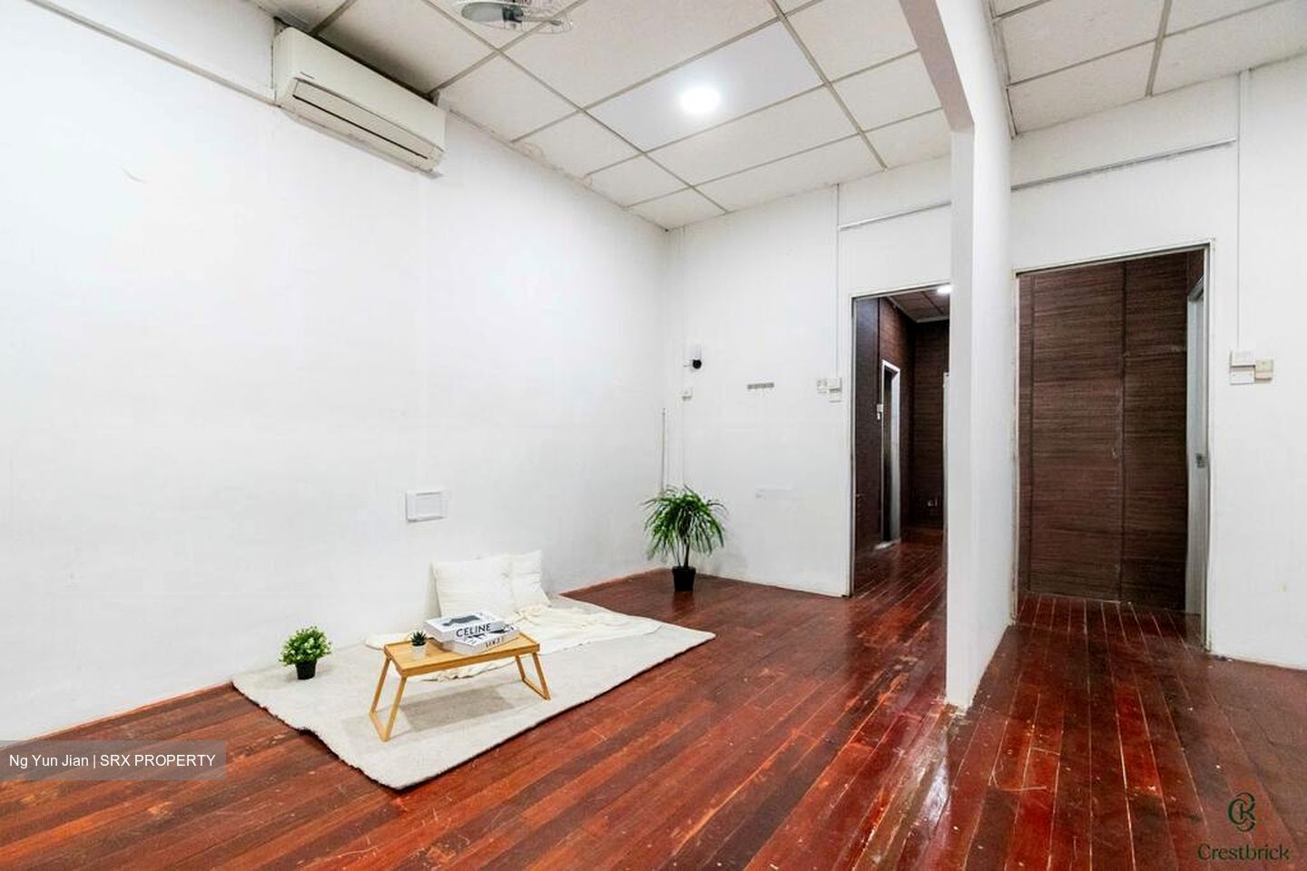 Jalan Besar Stadium (D8), Shop House #497506101